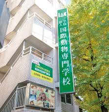 東急世田谷線 上町駅 徒歩13分 3階建 築20年の周辺写真