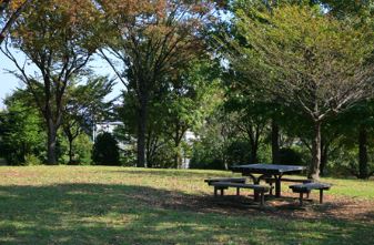 公園　遠藤公園（公園）まで1183m