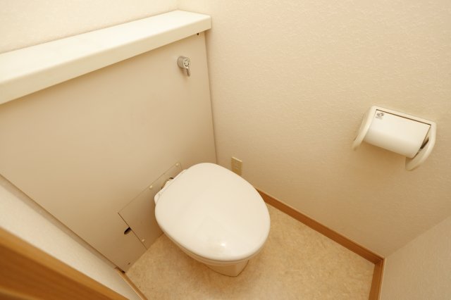 京成本線 京成小岩駅 徒歩5分 3階建 築21年のトイレ写真