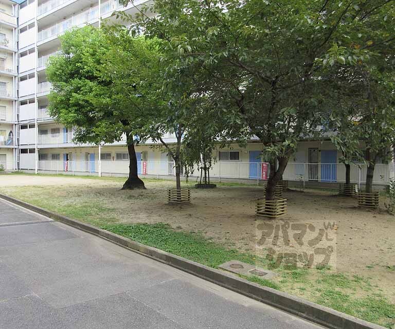 庭