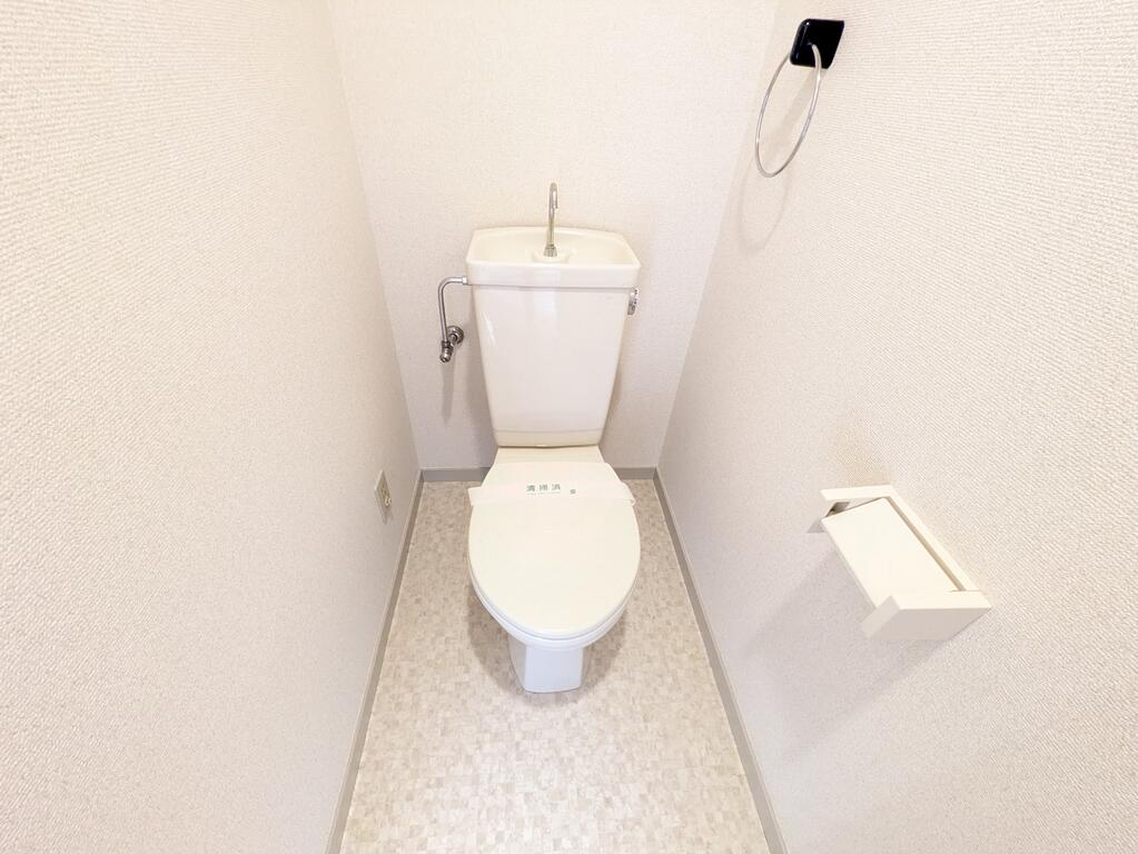 東急田園都市線 藤が丘駅 徒歩22分 4階建 築40年のトイレ写真