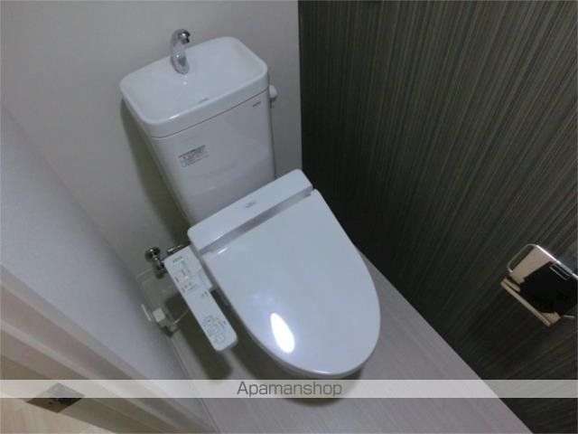マイコスモスのその他写真