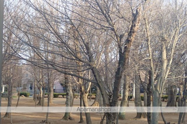 公園　宮内緑地公園（公園）まで243m