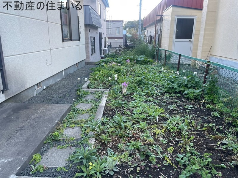 庭