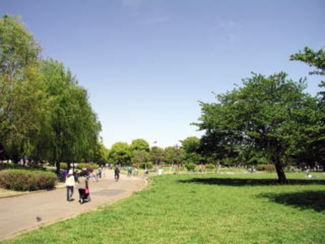 公園　篠崎公園（公園）まで589m