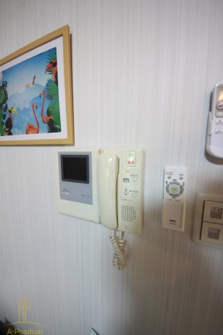 セキュリティ　カーサリック