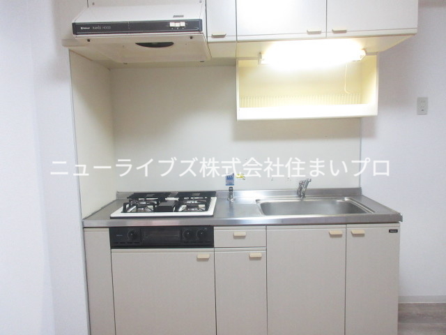カルチェダムールC棟のキッチン写真