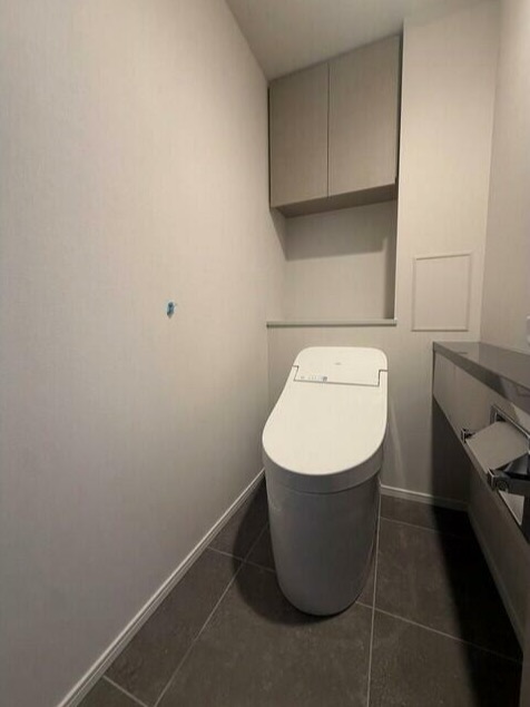 ブランズ武蔵小山のトイレ写真