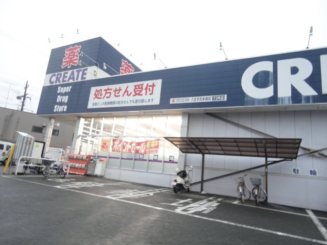 アリウムの周辺写真