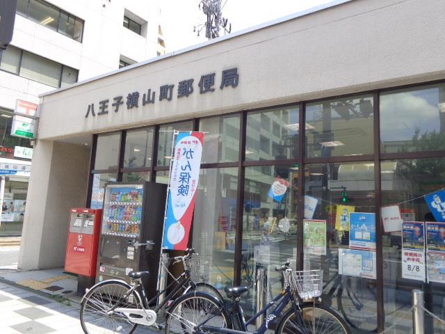 アリウムの周辺写真