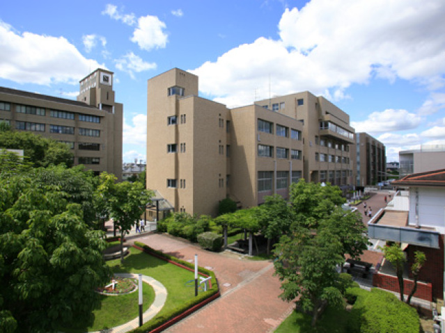 【ポテト国富の大学・短大】