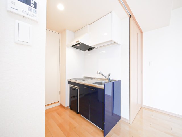 キッチン　別号室のものになります。現状優先。