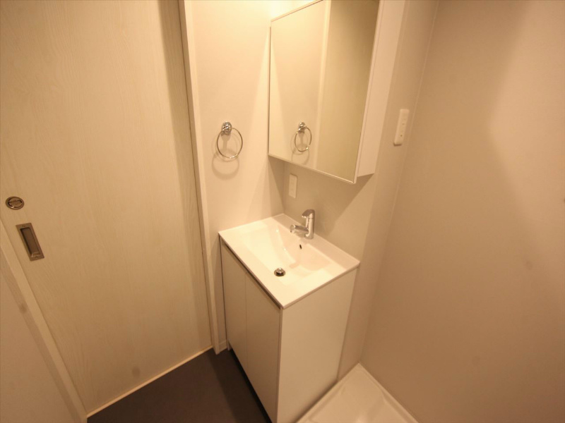 洗面設備　脱衣所　洗面台（シャンプードレッサー）同仕様写真