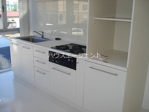 キッチン　システムキッチンでお料理はかどりそうですね。