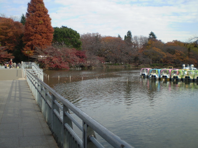 その他　井の頭公園（その他）まで1200m