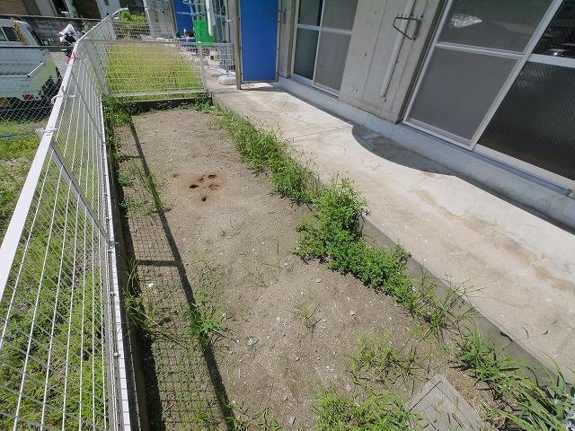 庭　お庭の付いた物件です