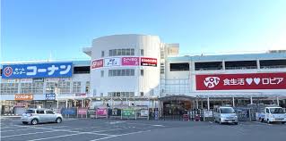 スーパー　ロピア 堺三国ケ丘店（スーパー）まで668m