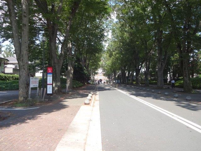 大学・短大　私立成蹊大学（大学・短大）まで2136m