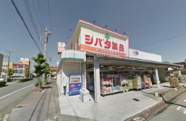 ドラックストア　ドラッグセイムスシバタ薬品住吉店（ドラッグストア）まで852m