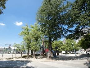 公園　蒲生公園（公園）まで496m