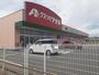 ドラックストア　クスリのアオキ赤堀店（ドラッグストア）まで431m