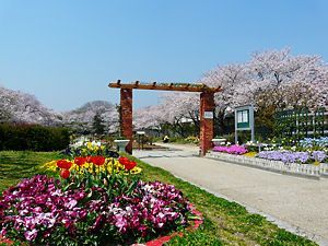 【ミスターＫ北武庫之荘の公園】