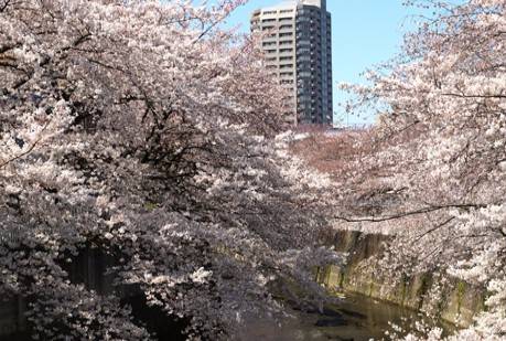 【和幸ビルの公園】