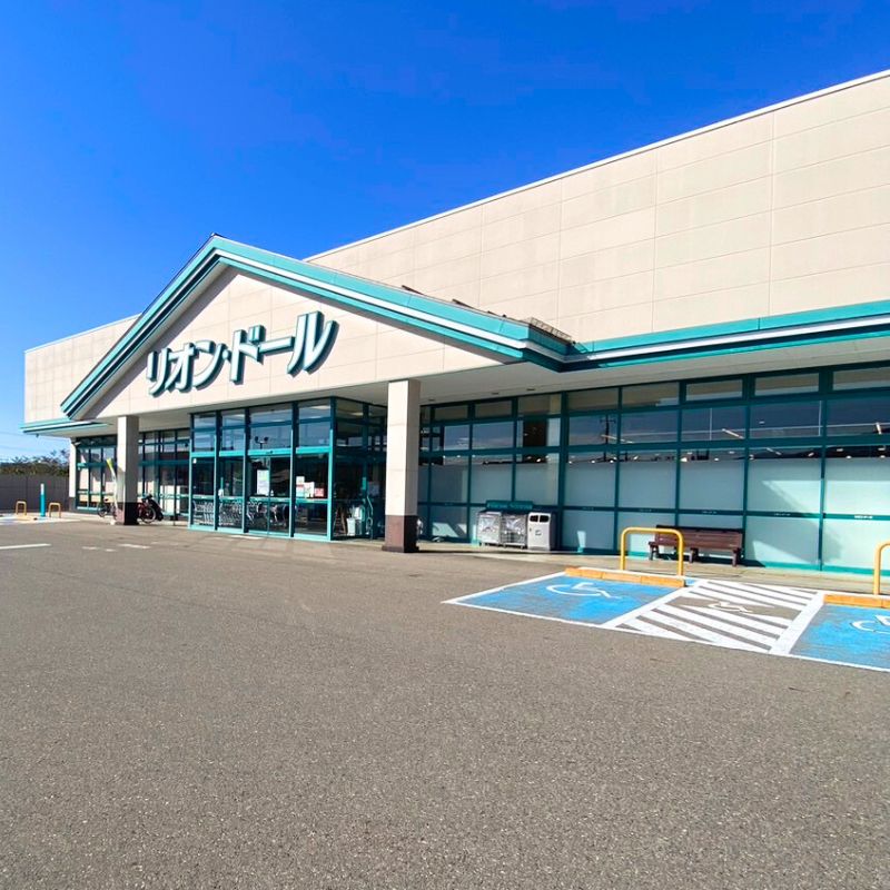 スーパー　リオン・ドール千石店（スーパー）まで501m