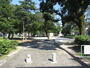 公園　黒門公園（公園）まで341m