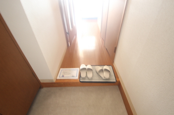玄関　※別部屋の写真です
