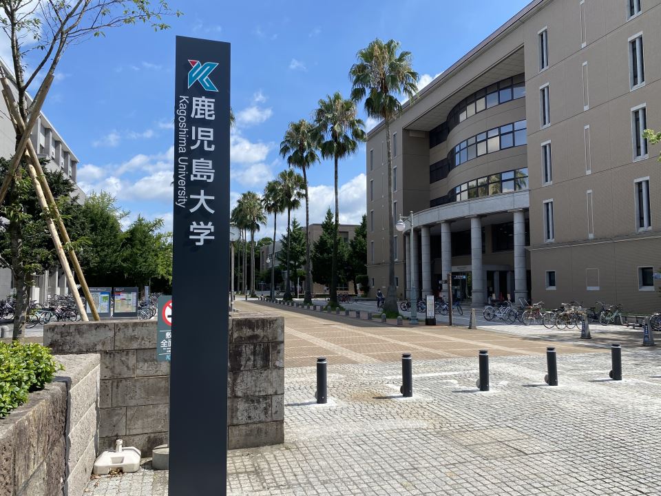 大学・短大　鹿児島大学（大学・短大）まで732m