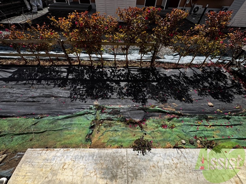 バルコニー　バルコニーの代わりにサービスルームで洗濯物が干せます。