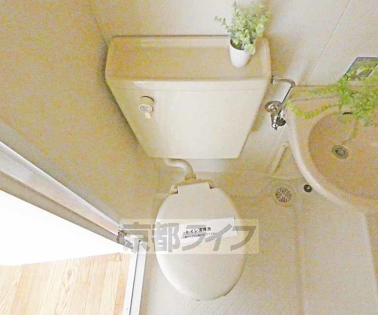 トイレ　トイレです！