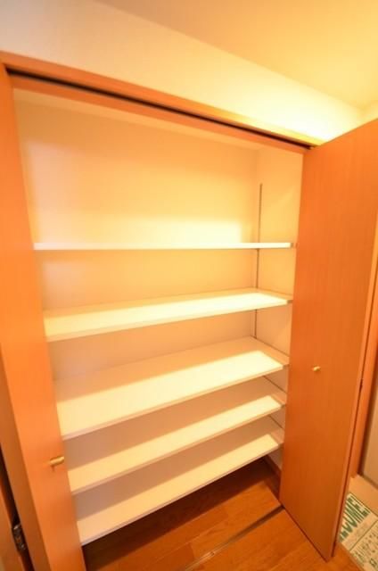 収納　★玄関横収納デカイです★