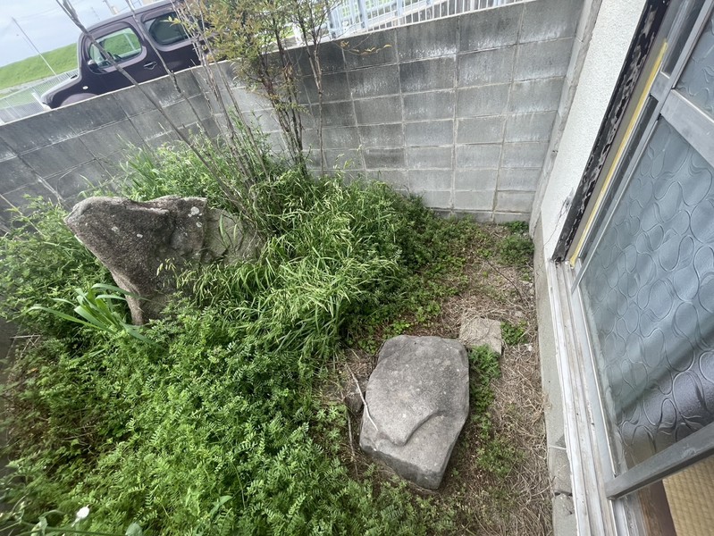 庭