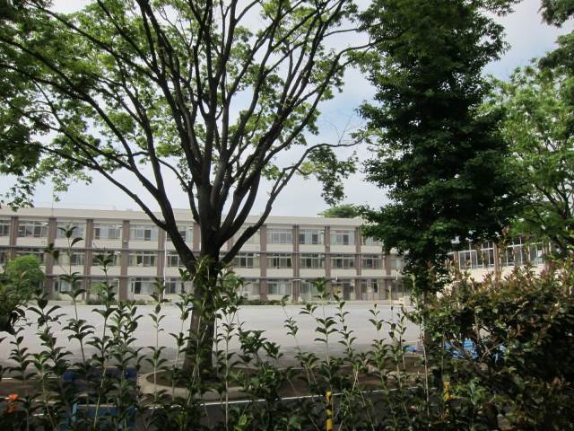 小学校　志村坂下小学校（小学校）まで448m