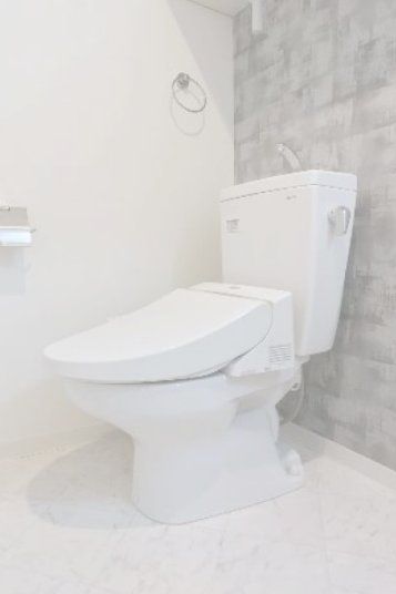 トイレ　現状優先とし写真は参照とする。