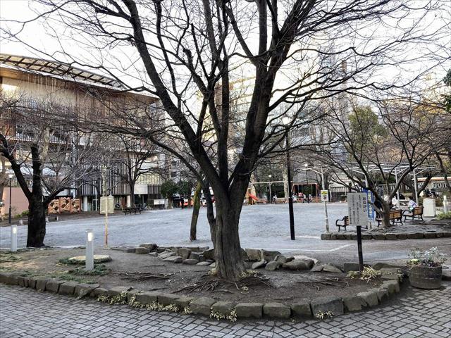 公園　中央区立鉄砲洲児童公園（公園）まで971m