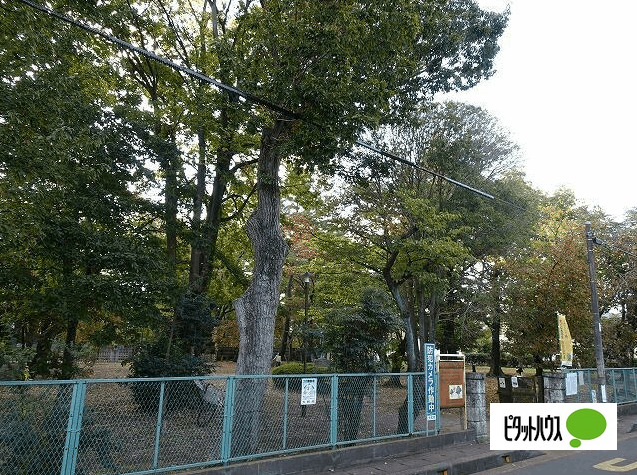 プロスペクト中央林間の周辺写真