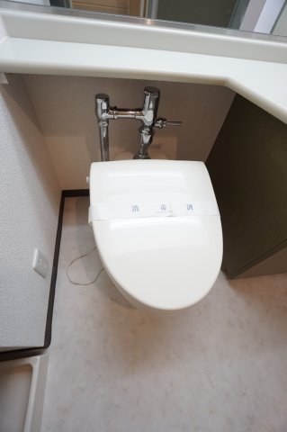 小田急線 向ケ丘遊園駅 徒歩1分 5階建 築31年のトイレ写真