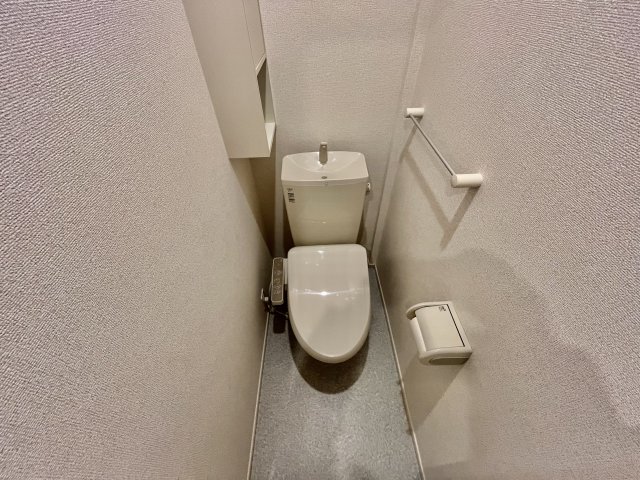 フォルトゥーナ道明寺Aのトイレ写真