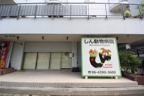 病院　しん動物病院（病院）まで44m
