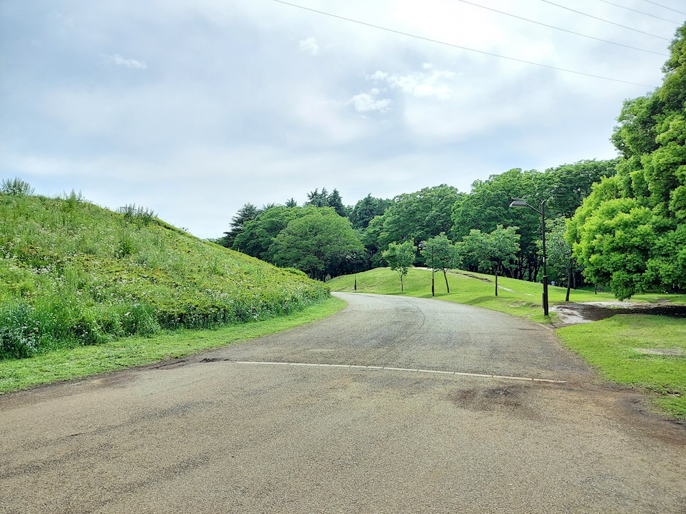 公園　小金井公園（公園）まで2131m