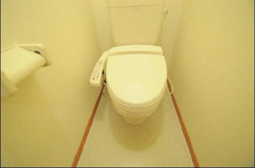 トイレ　備品や設備仕様は号室等により異なります現地をご確認下さい。