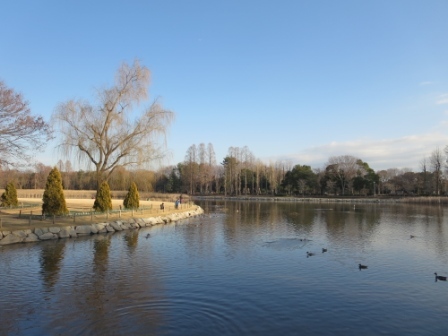 公園　洞峰公園（公園）まで1200m