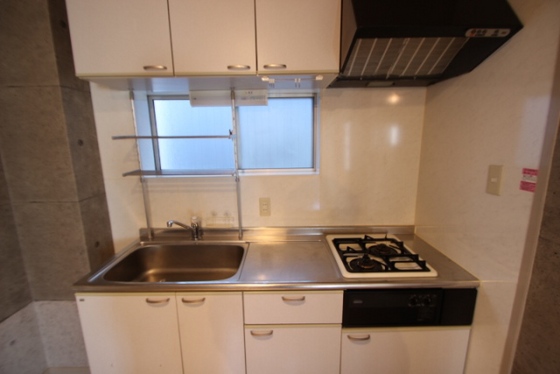 キッチン　※別号室の写真です