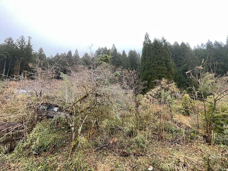 眺望　お部屋からの眺めです。