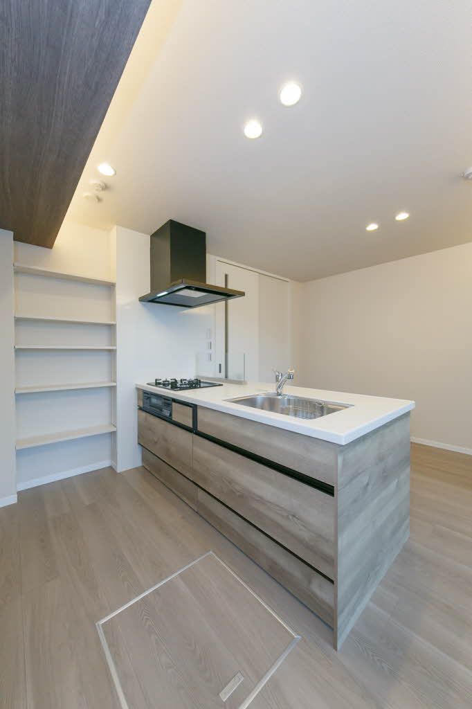 キッチン　システムキッチン　料理をしながら、洗い物をしながら、会話が…