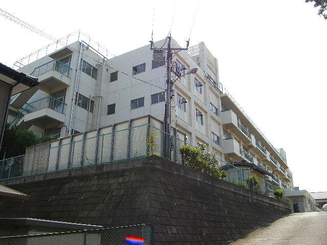 小学校　さいたま市立南浦和小学校（小学校）まで443m