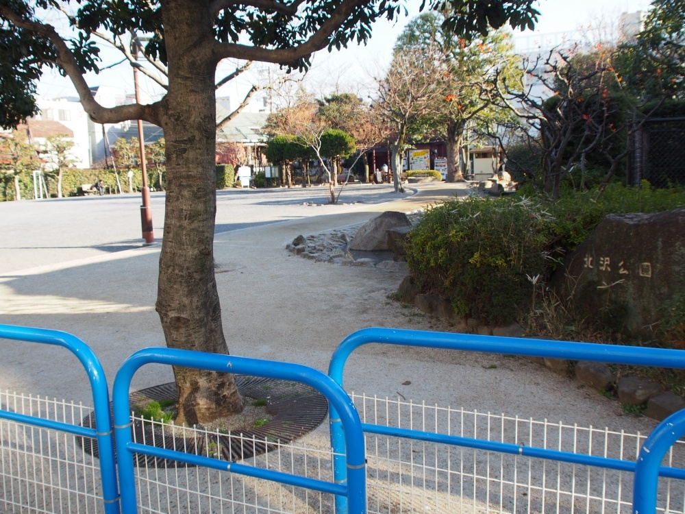 公園　北沢公園（公園）まで547m